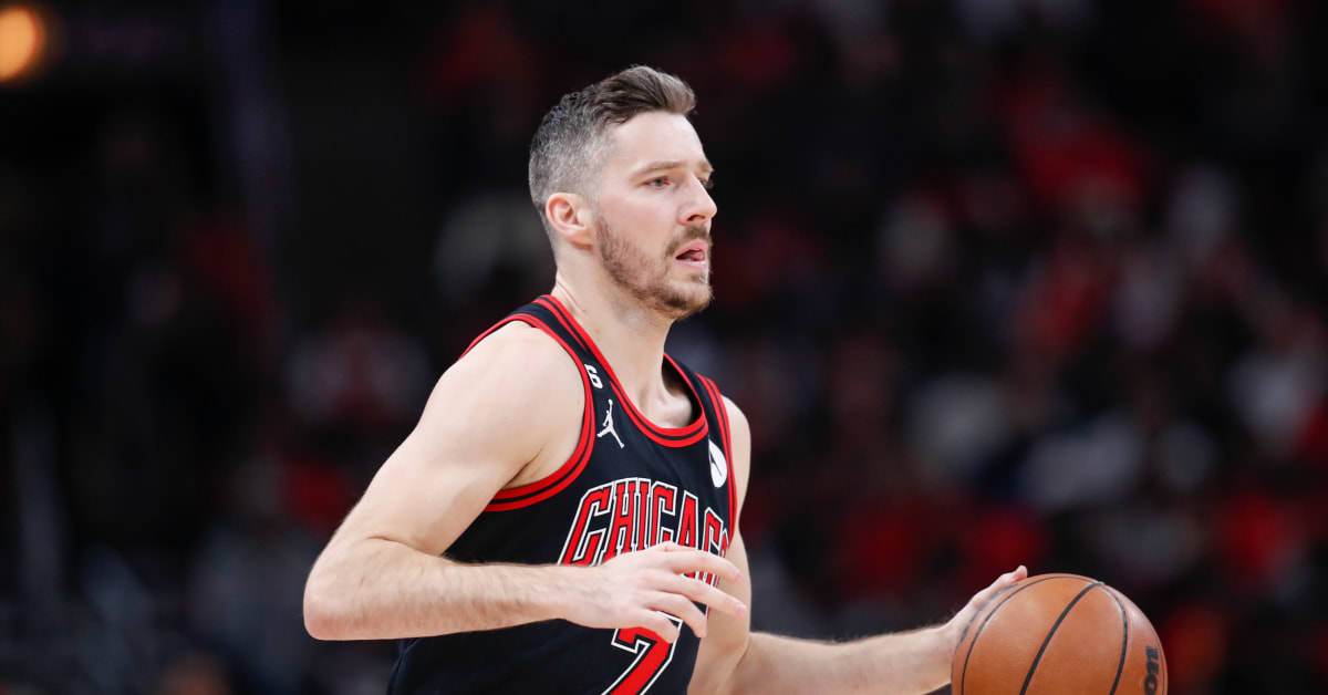 Guard-heavy Chicago Bulls Waive Goran Dragic - On Tap Sports Net