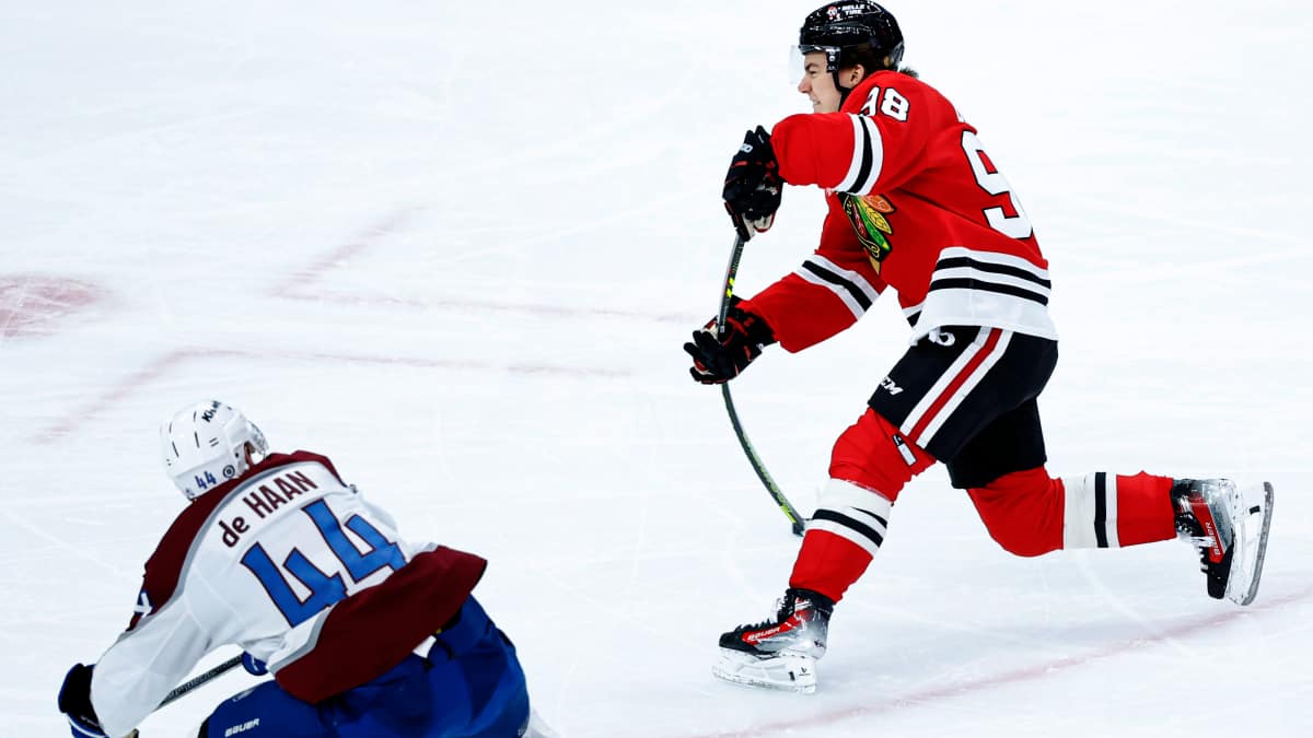 Blackhawks On Tap: Connor Bedard extends scoring streak, David 