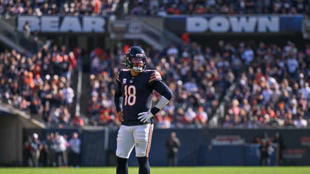 Stream bears patriots new arrivals