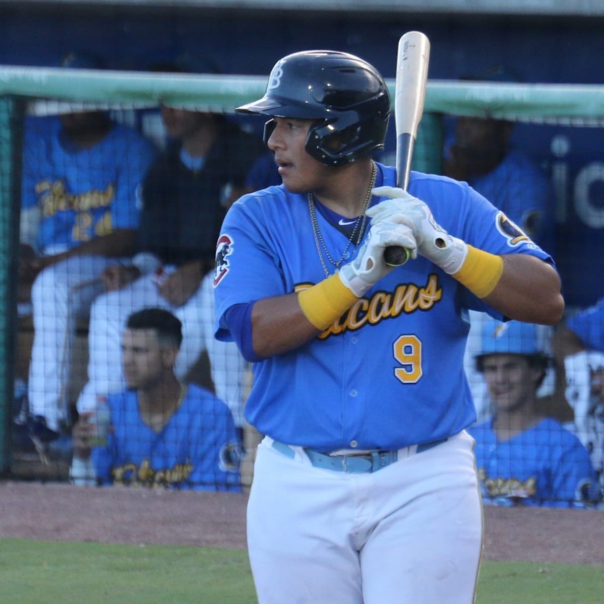 myrtle beach pelicans beer bat