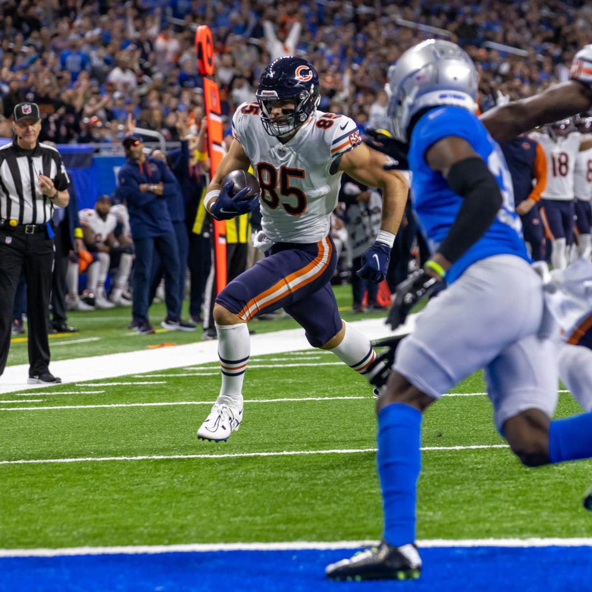 Bears fall to Lions in Detroit