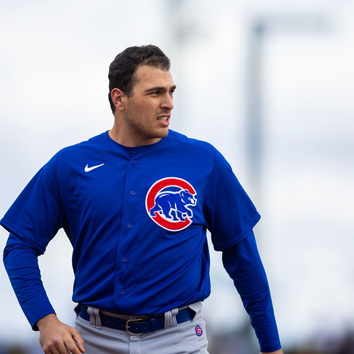 Chicago Cubs eyeing Iowa Cubs prospects as MLB playoffs loom near - The  Times-Delphic