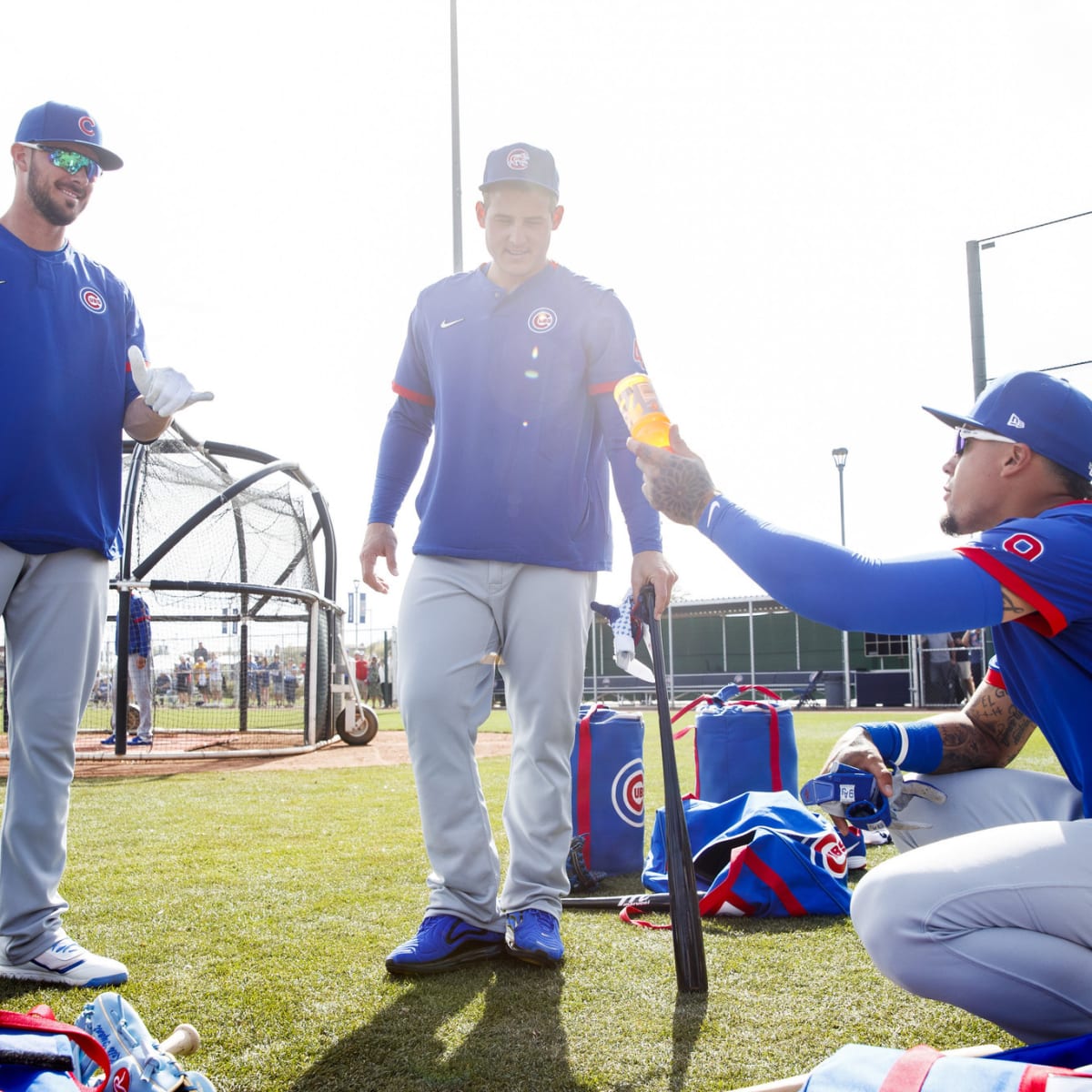 Cubs' Javy Baez and Anthony Rizzo win Gold Glove Awards - Chicago Sun-Times