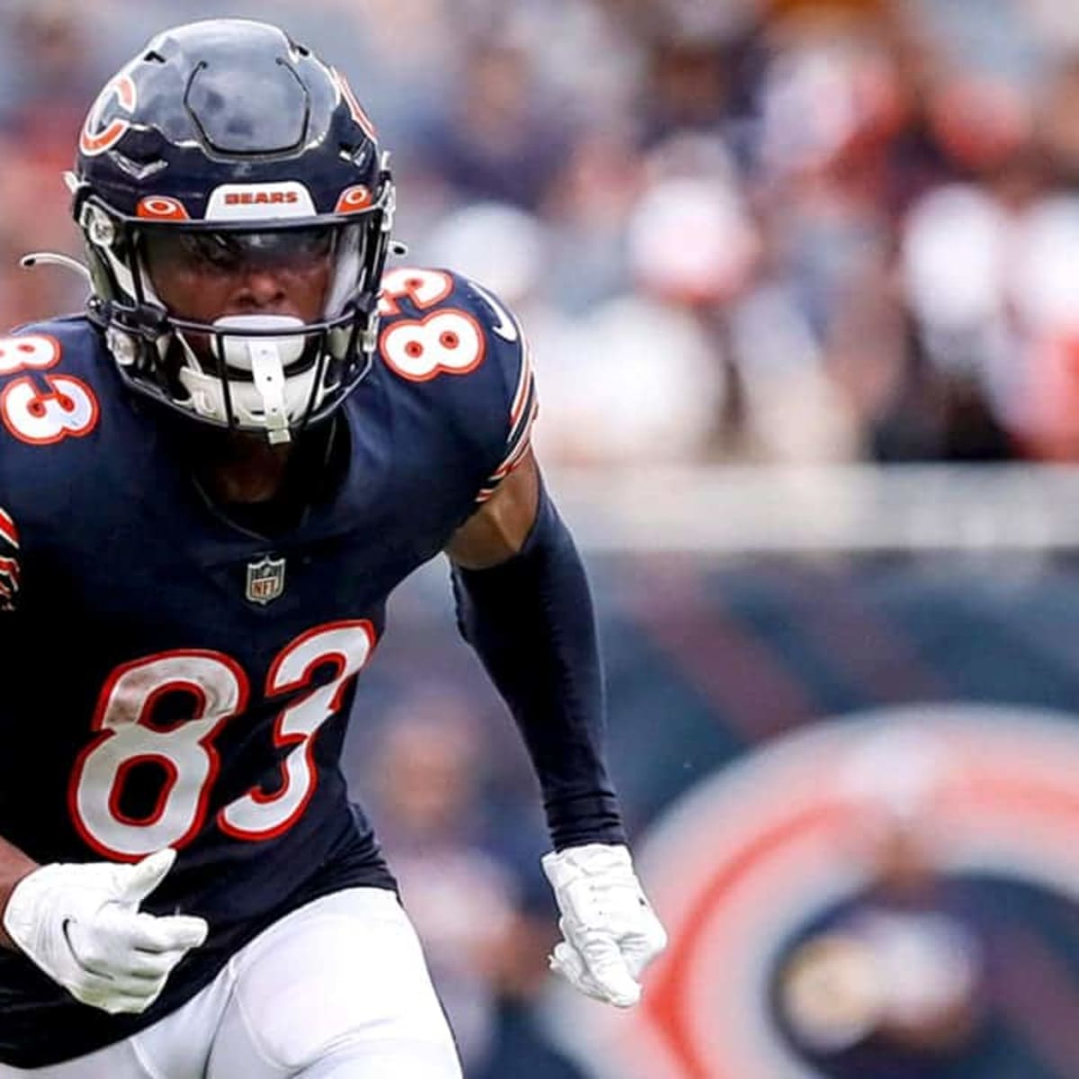 Bears Add Dazz Newsome, 4 Others to Active Roster - On Tap Sports Net