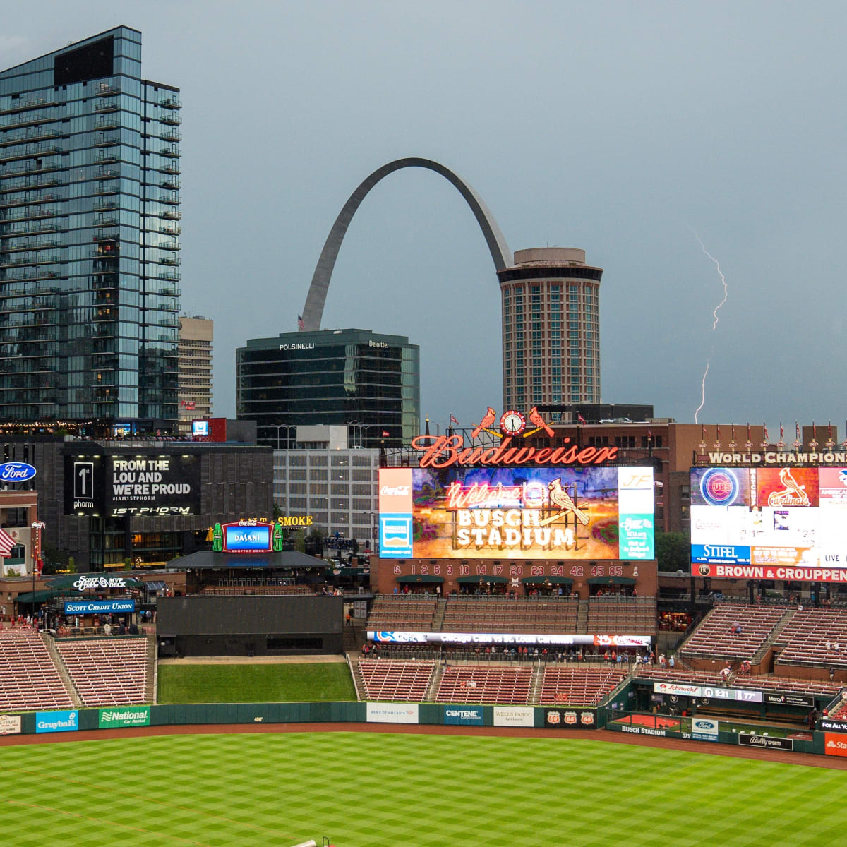 St. Louis Football Cardinals - Revenge of the Birds