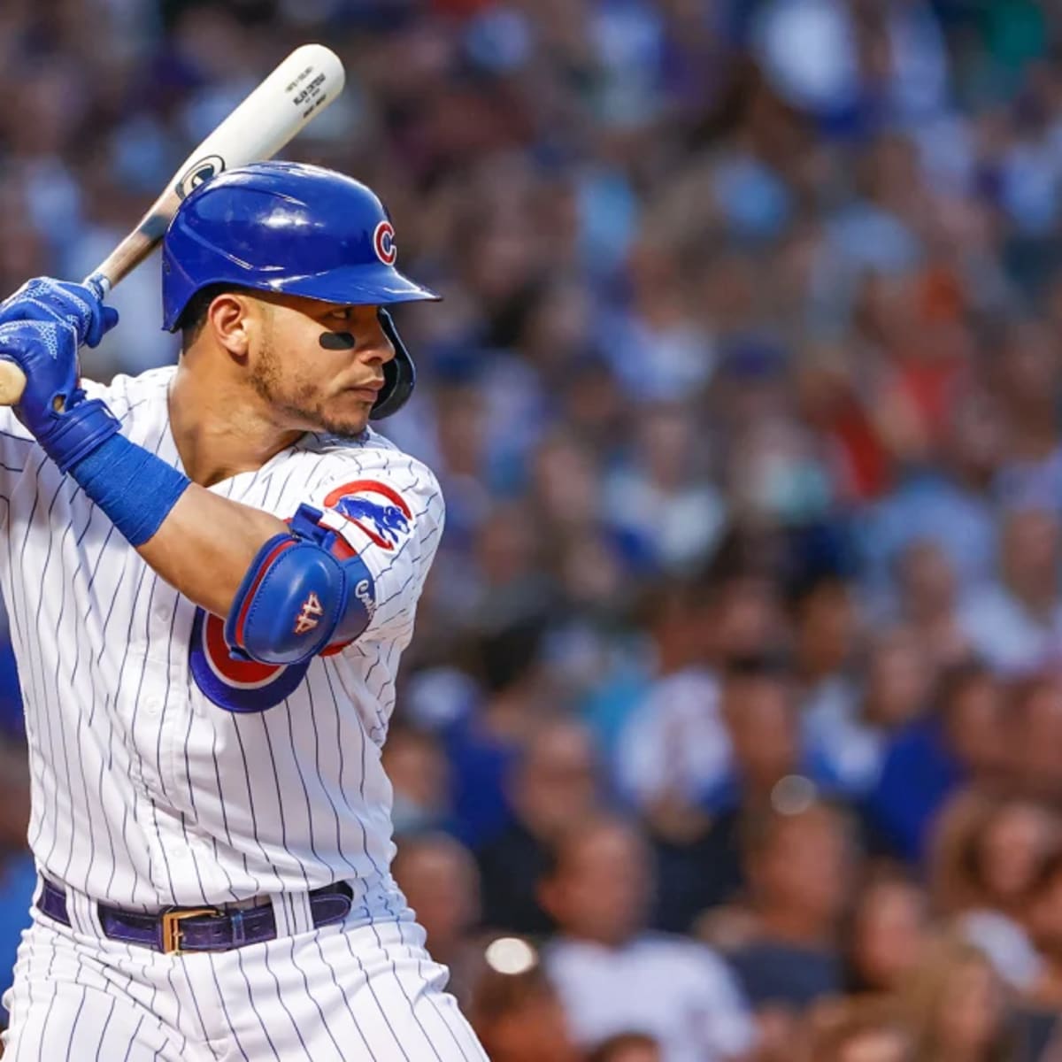 Willson Contreras injury update: Cubs catcher (hamstring) expected