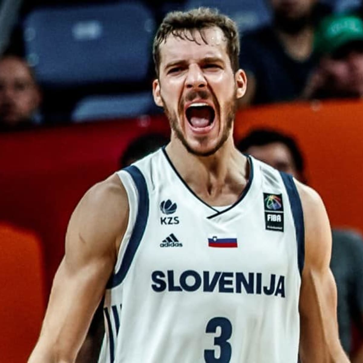 510 Goran Dragic Slovenia Stock Photos, High-Res Pictures, and Images -  Getty Images