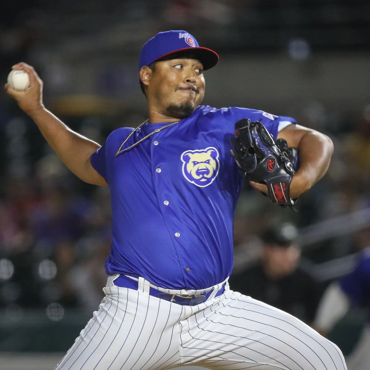 South Bend Cubs Release 2023 Roster