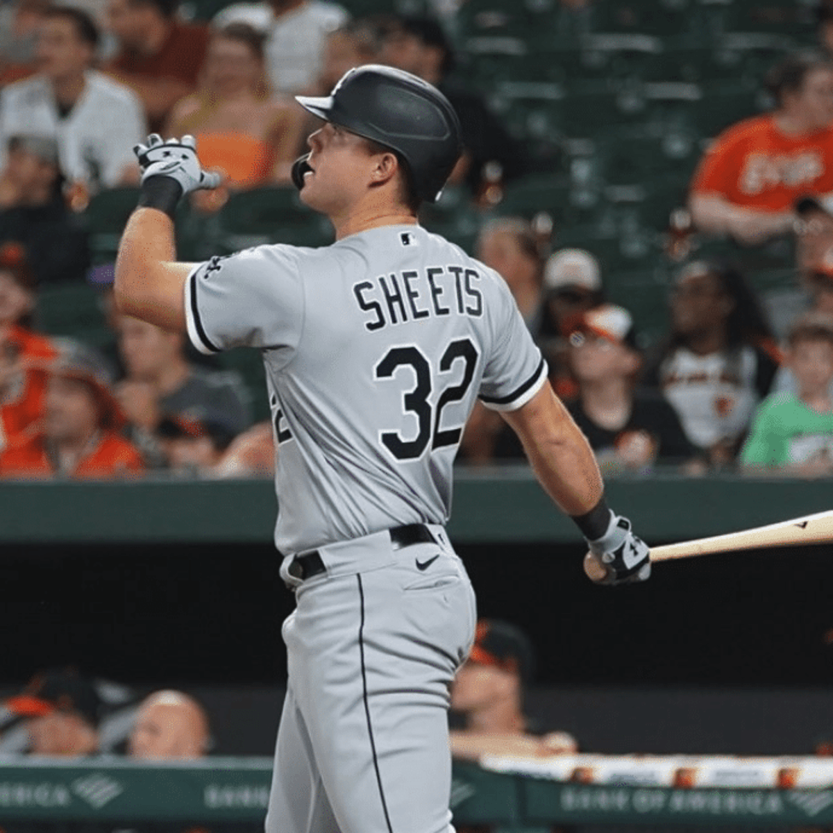 Chicago White Sox on X: Larry Sheets' reaction to Gavin's home