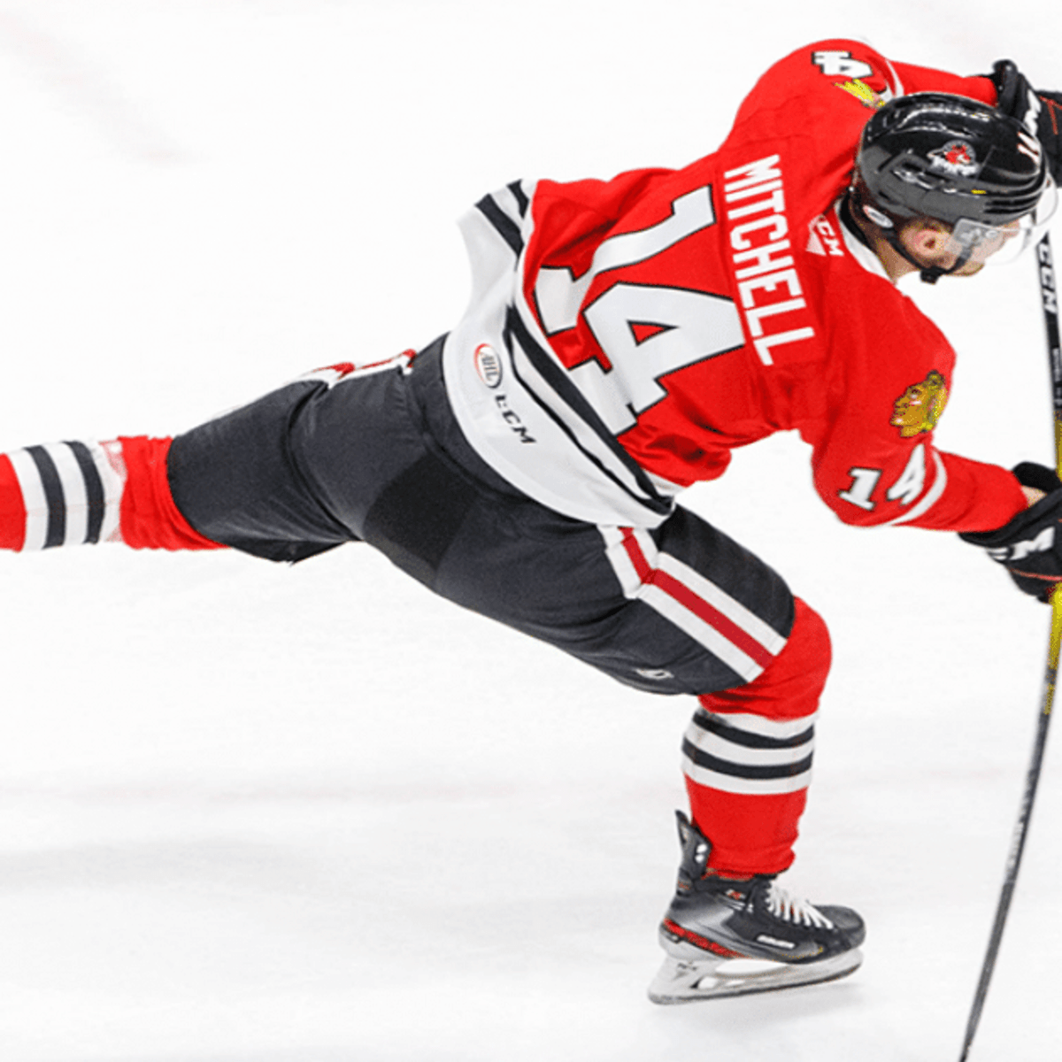 Rockford IceHogs  IceHogs Captain Garrett Mitchell Returns for the…