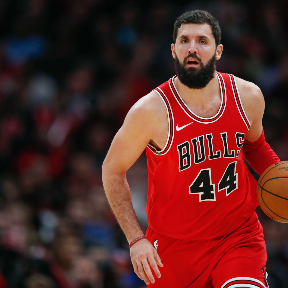 Nikola mirotic outlet