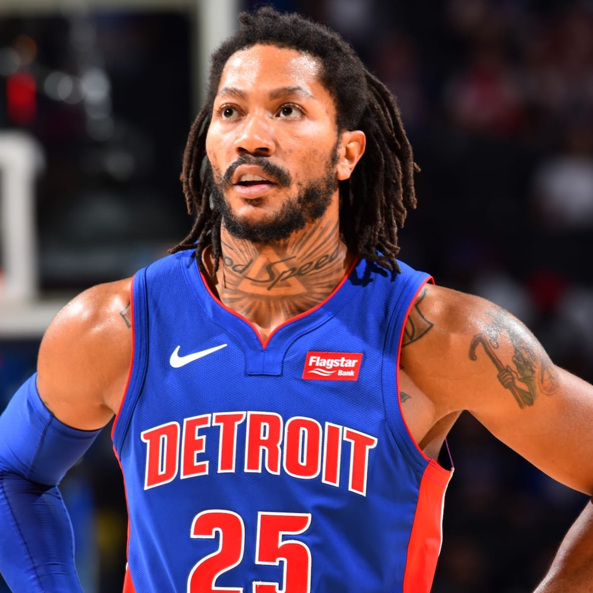 D rose 2019 online