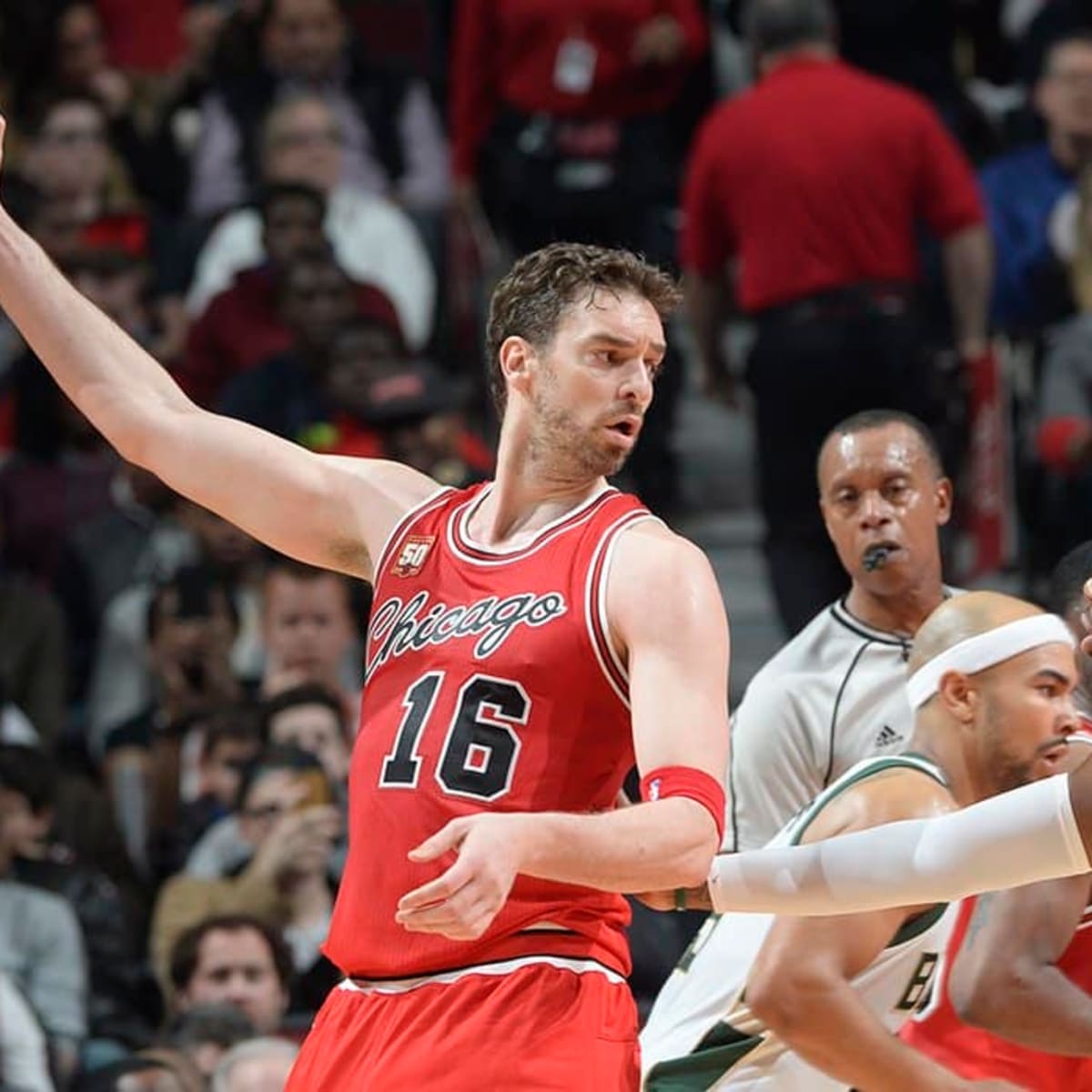 Pau gasol shop jersey bulls