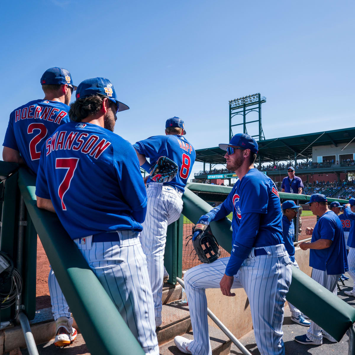 Cubs Sweep Gold Gloves as Swanson Hoerner Happ Take Home