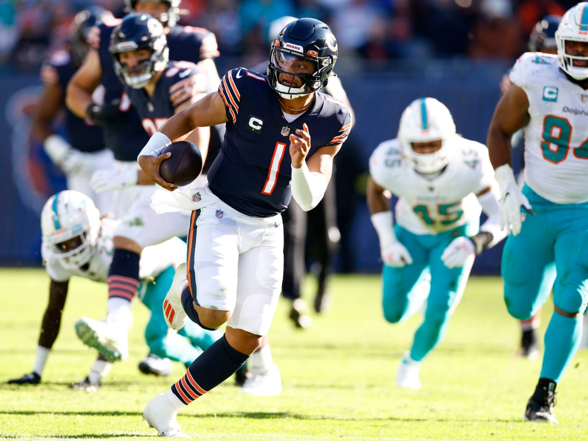 chicago bears dolphins