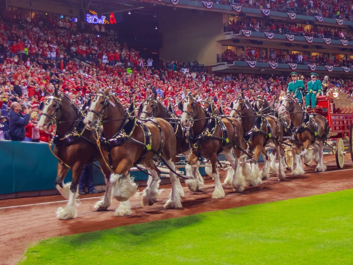 Budweiser Releases MLB Team Logo Cans Ahead of Opening Day 2023