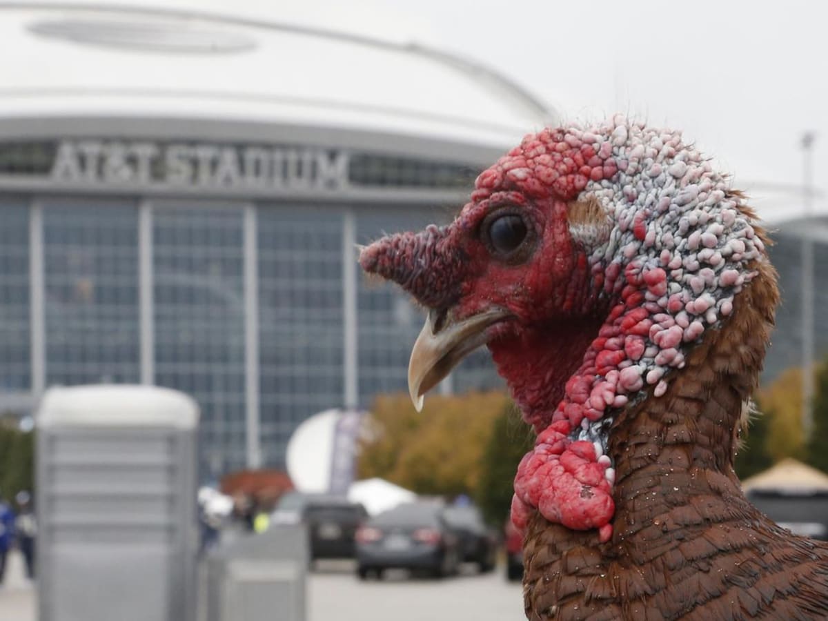 Special AFC North Report: Ravens Eat Turkey on Thanksgiving