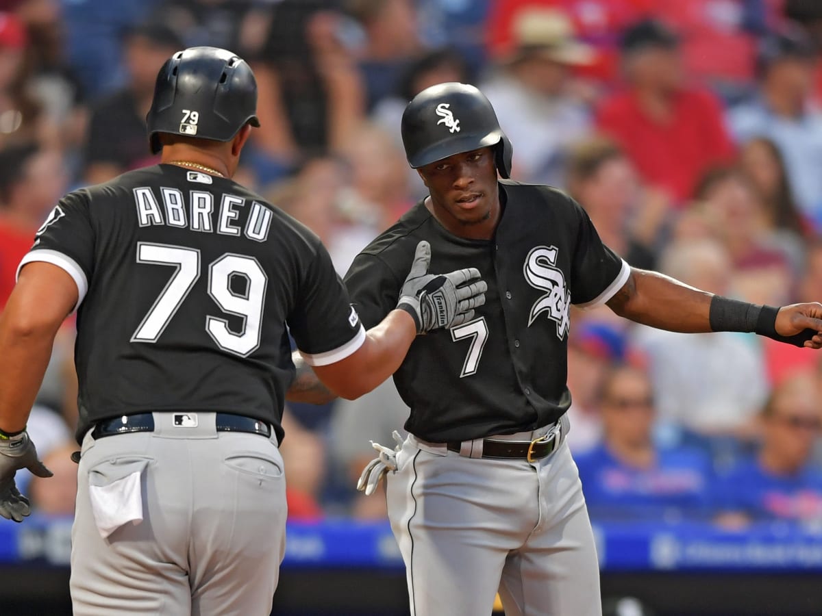 White Sox Make 3 Roster Moves, DFA Seby Zavala