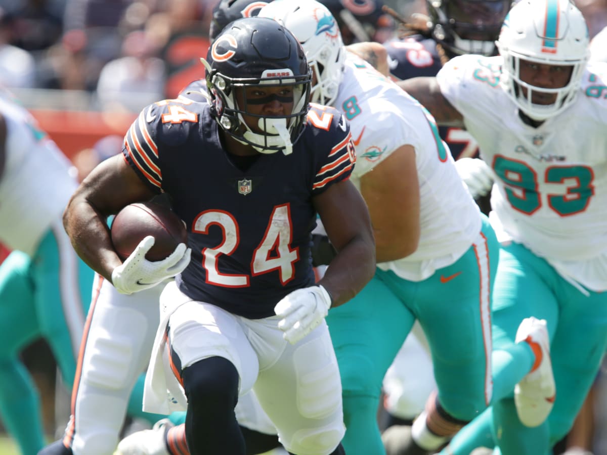 Bears vs. Dolphins: Week 9 Preview, Prediction, Odds, Matchups