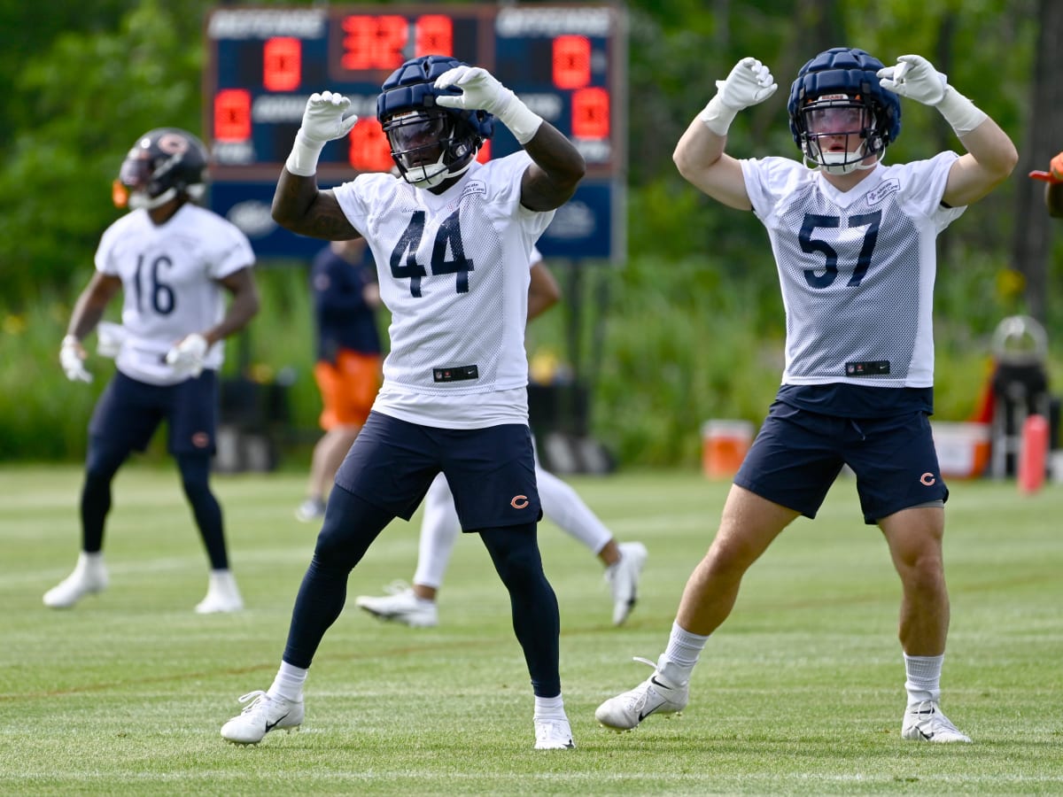 Learning fullback position leads undrafted rookie Jake Tonges to spot on Chicago  Bears' roster – Shaw Local