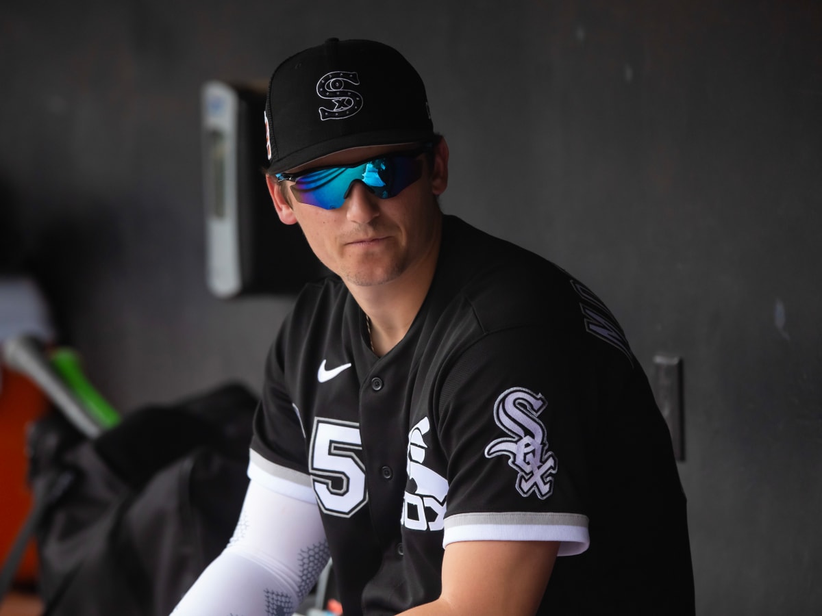 White Sox A-Z: Paciorek to Politte, by Chicago White Sox