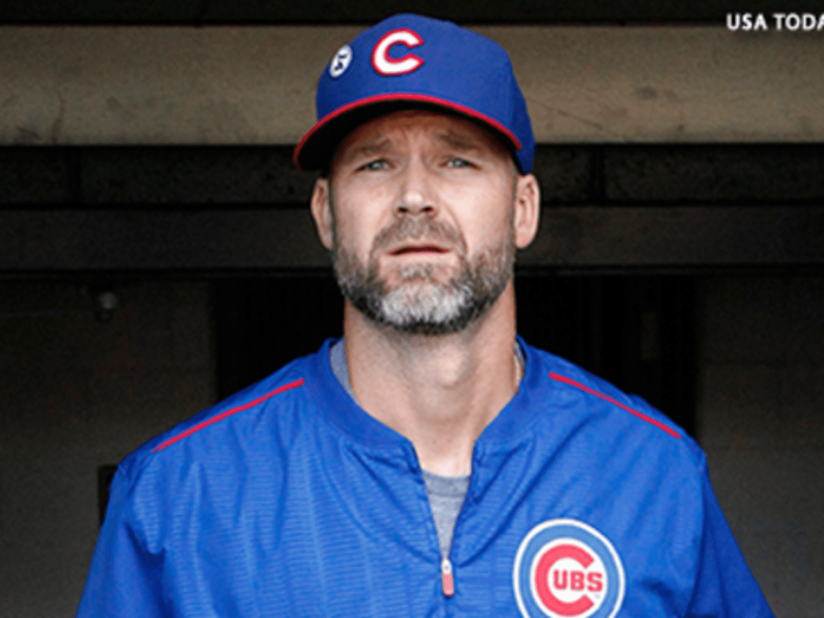 David Ross' retirement means more family time