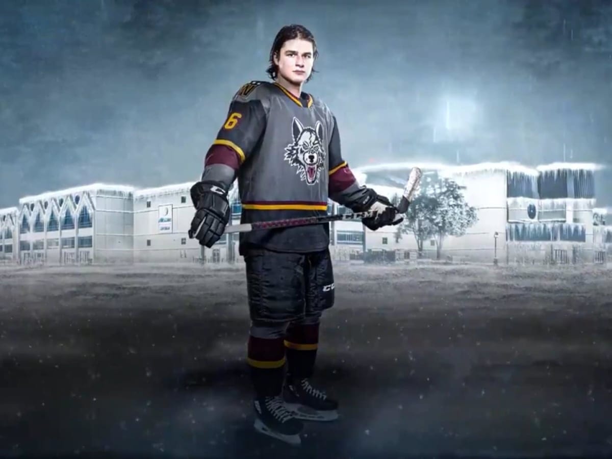 Wolves 2025 grey jersey