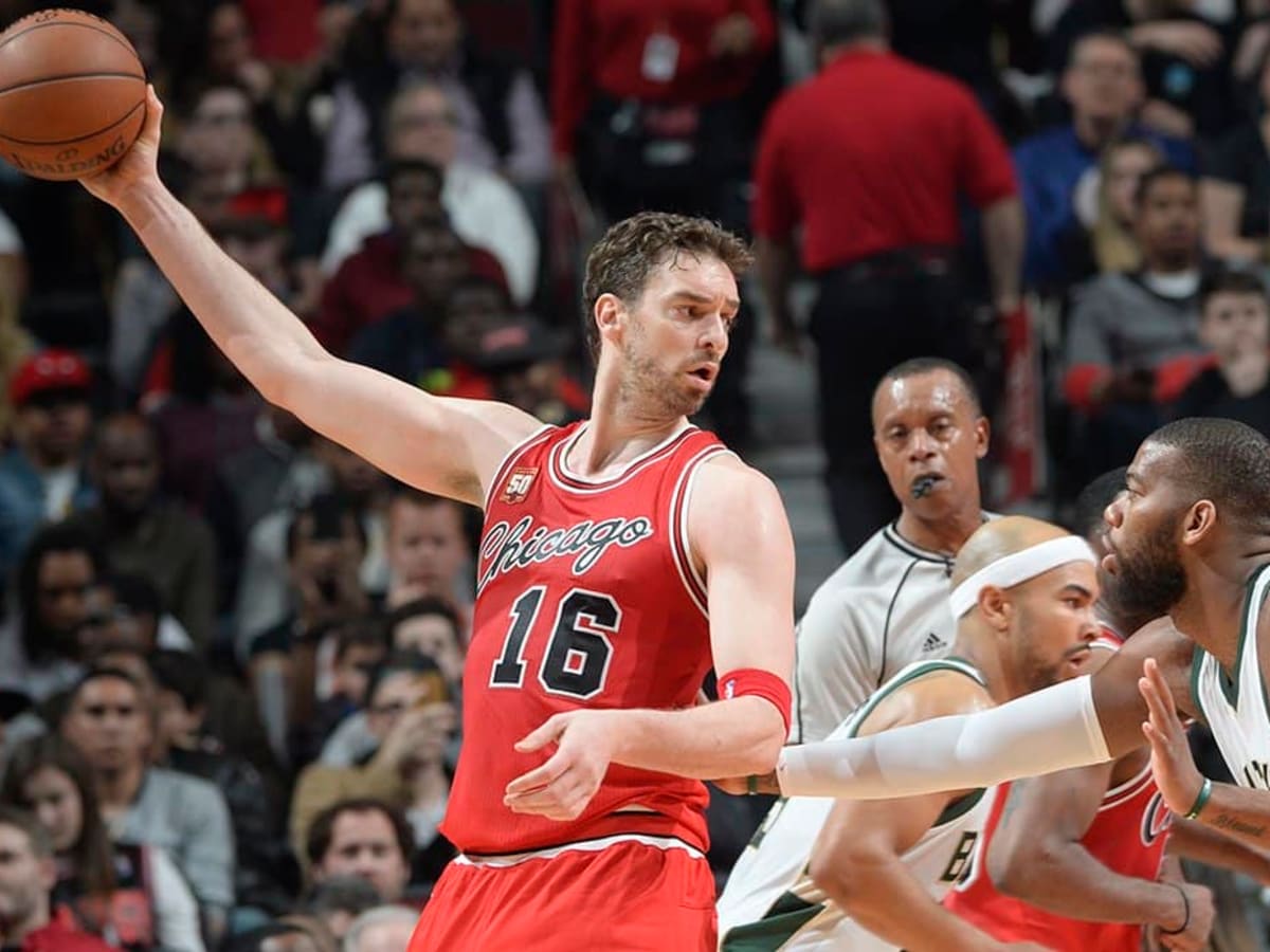 Pau gasol shop bulls jersey
