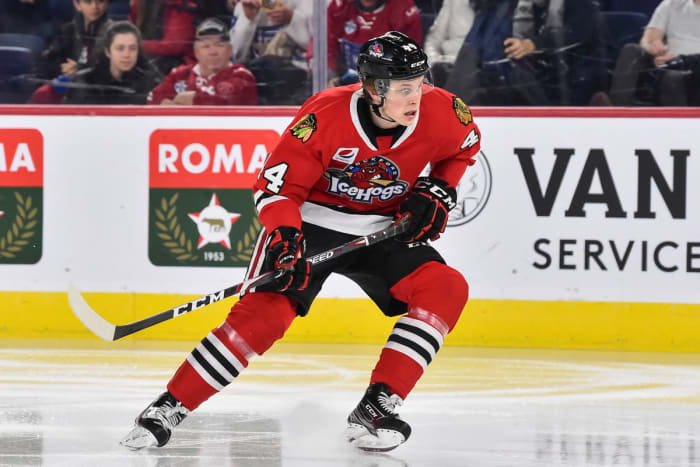 Blackhawks Send Reese Johnson To Ir - On Tap Sports Net