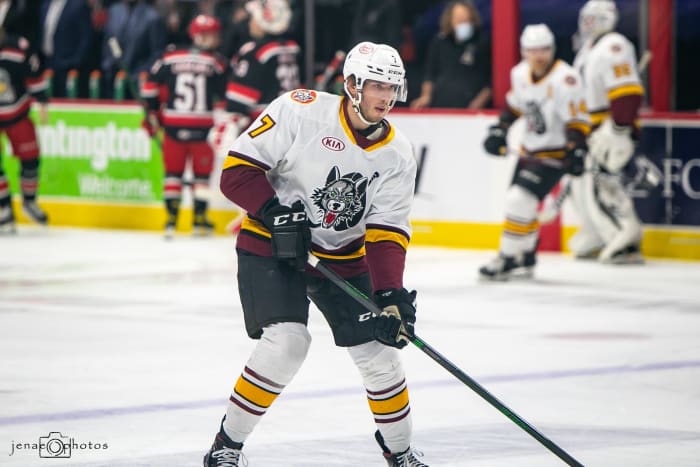 David Cotton Chicago Wolves