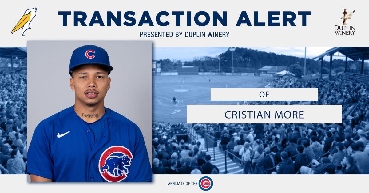 Chicago Cubs Around the Farm 4/28/23: Bryce Ball, Cristian More provide ...