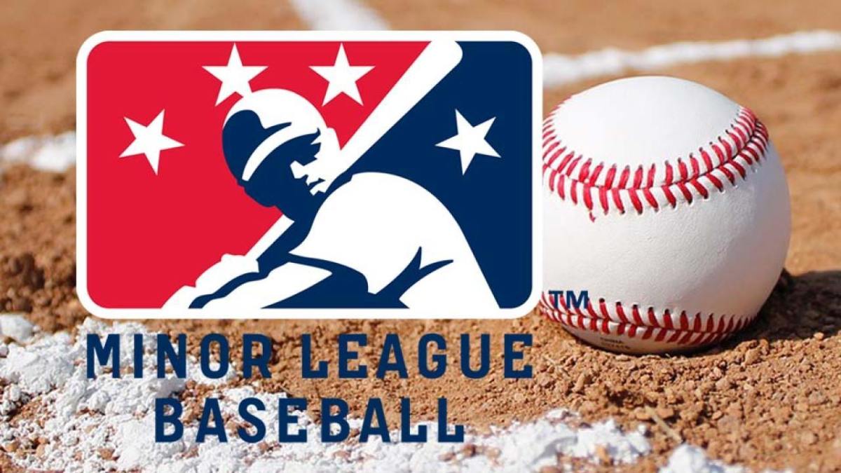minor-league-baseball-logo-1