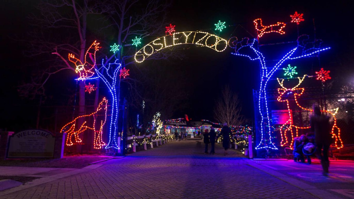 Cosley Zoo Lights