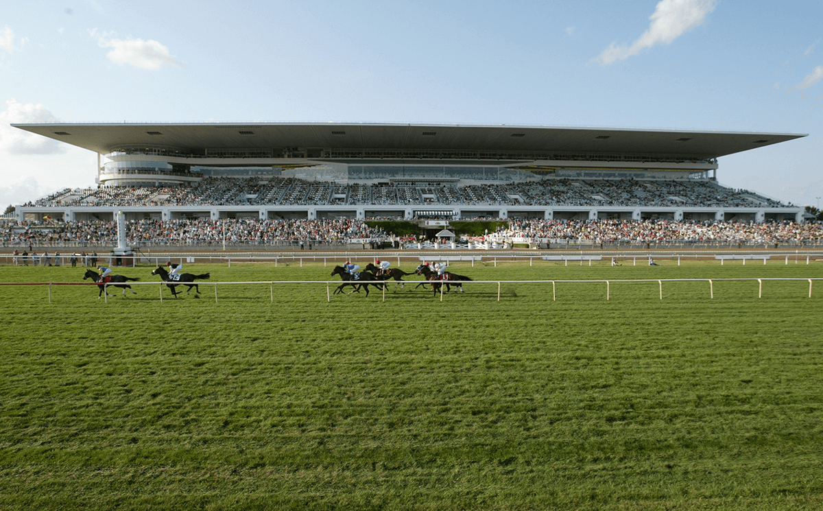 Report: Bears Sign Purchase Agreement For Arlington Park Property - 1340  WJOL