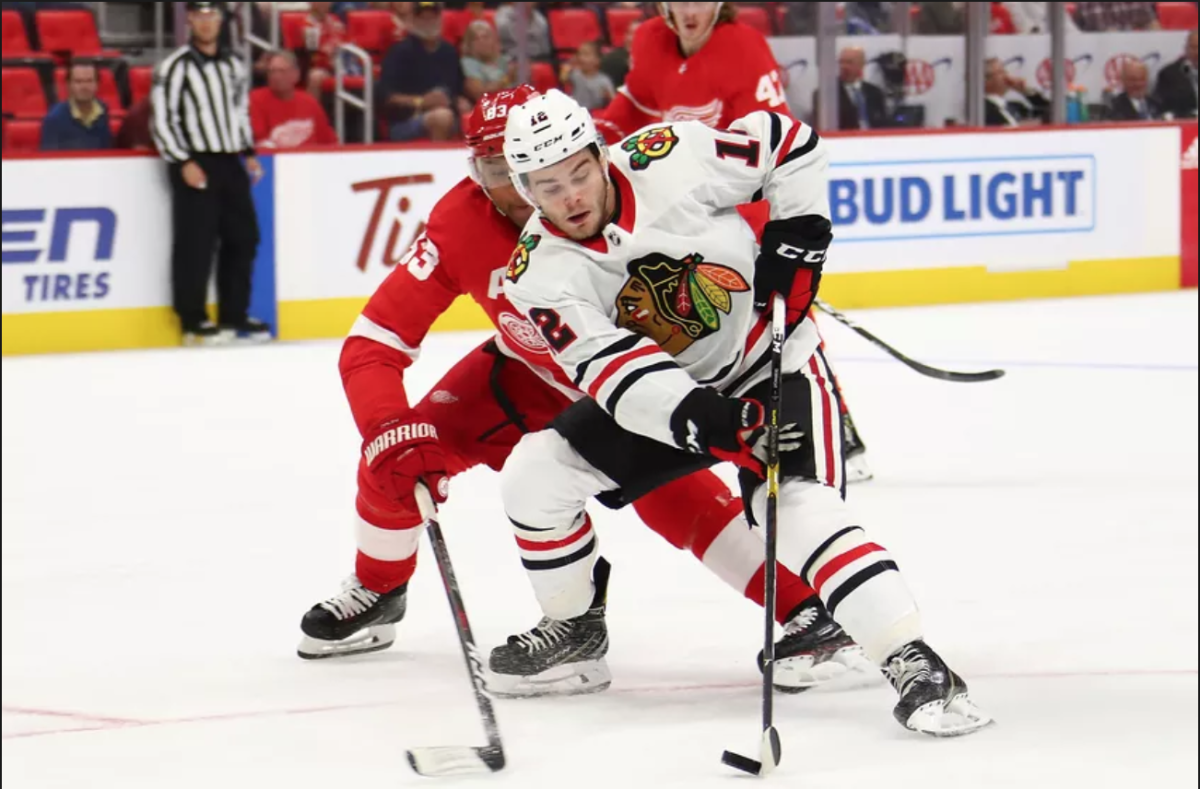 The Game in GIFs: Blackhawks at Red Wings - On Tap Sports Net