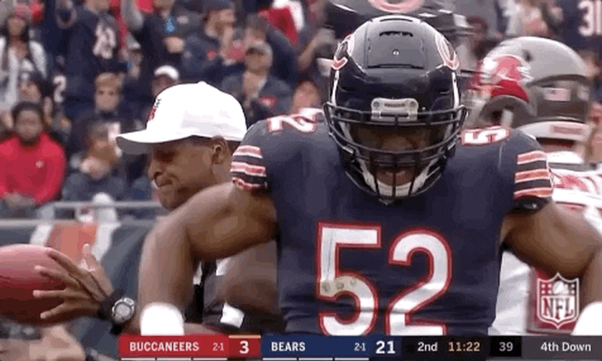 chicago bears football GIF by NFL