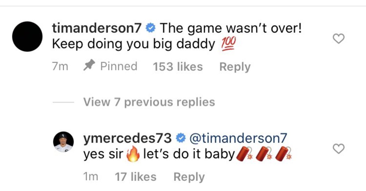 Tim Anderson Comment