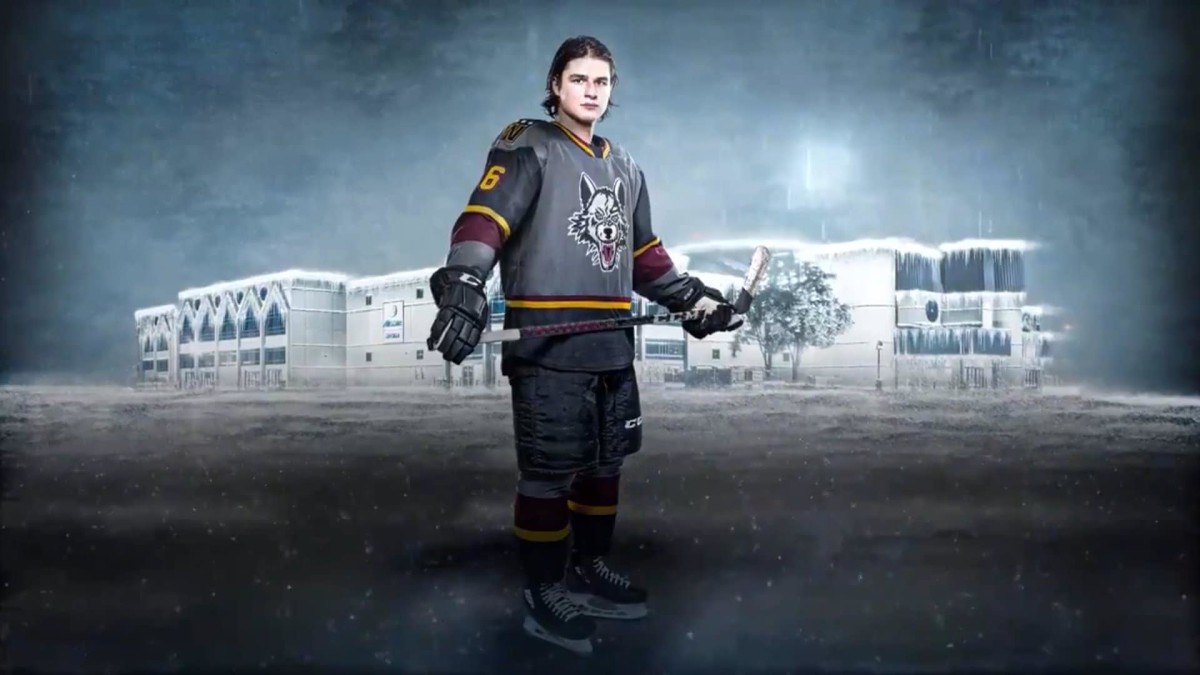 Chicago Wolves Storm Jerseys