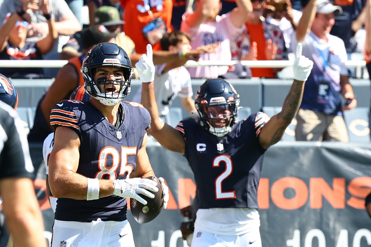 Chicago Bears: 5 Reasons Why They Should Leave Soldier Field